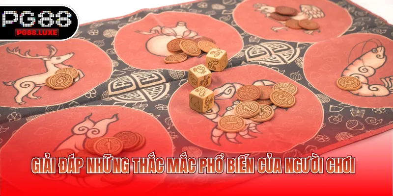 Giải đáp những thắc mắc phổ biến của hội viên về bầu cua